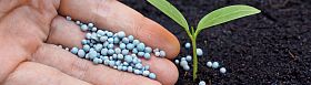 Fertilizing Services