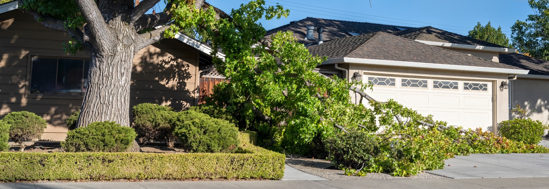 Storm Damage